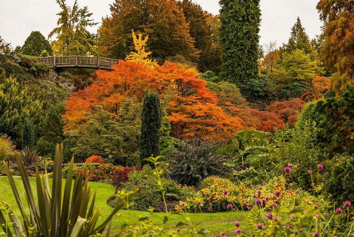 Here’s Why Queen Elizabeth Park in Vancouver is the Best